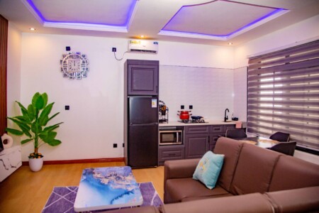 living room with kitchen view