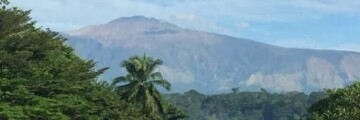 Limbe